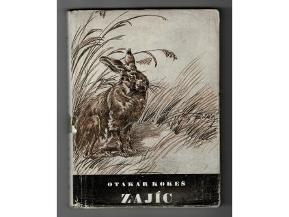 Obrázek (25)